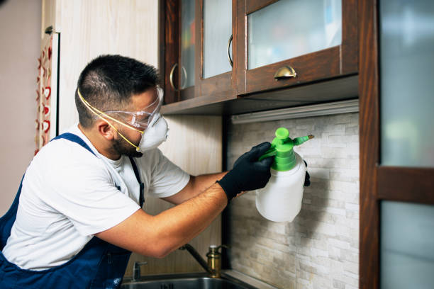 Best Best Pest Control Near Me  in Cottonde, AL