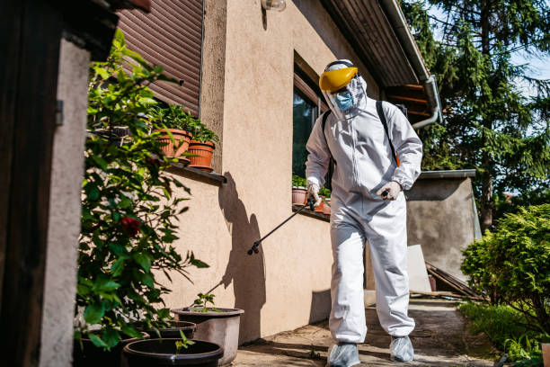Best Bed Bug Extermination  in Cottonde, AL