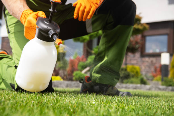 Best Affordable Pest Control Services  in Cottonde, AL