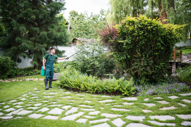 Best Pest Prevention Services  in Cottonde, AL