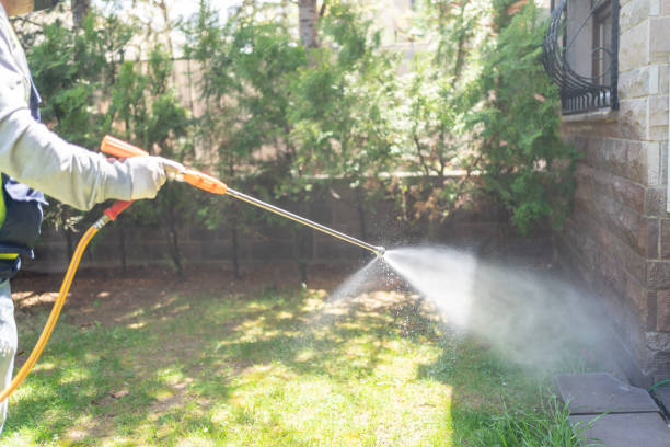 Best Bed Bug Extermination  in Cottonde, AL