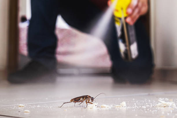 Best Pest Inspection Near Me  in Cottonde, AL