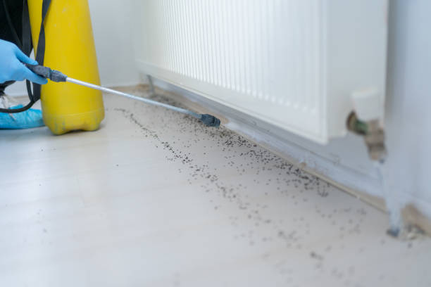 Best Best Pest Control Companies  in Cottonde, AL