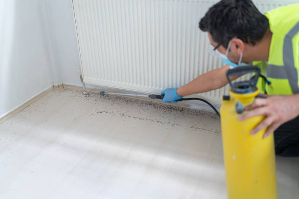 Best Pest Removal Services  in Cottonde, AL