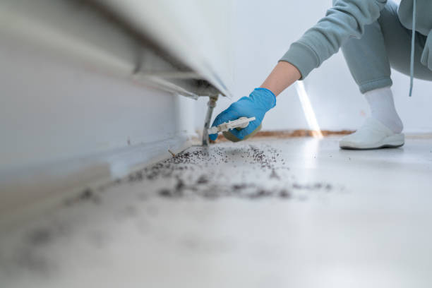 Best Residential Pest Control  in Cottonde, AL