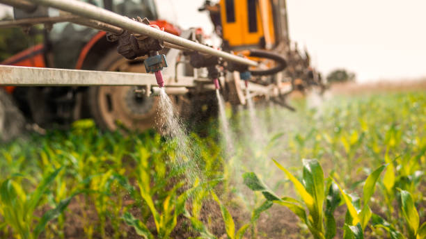 Best Insect Control  in Cottonde, AL